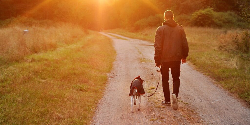 dog with owner walking down dirt road into the sunset